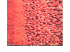 Alfombra de cocina lavable Spice 45x150 cm ES240102