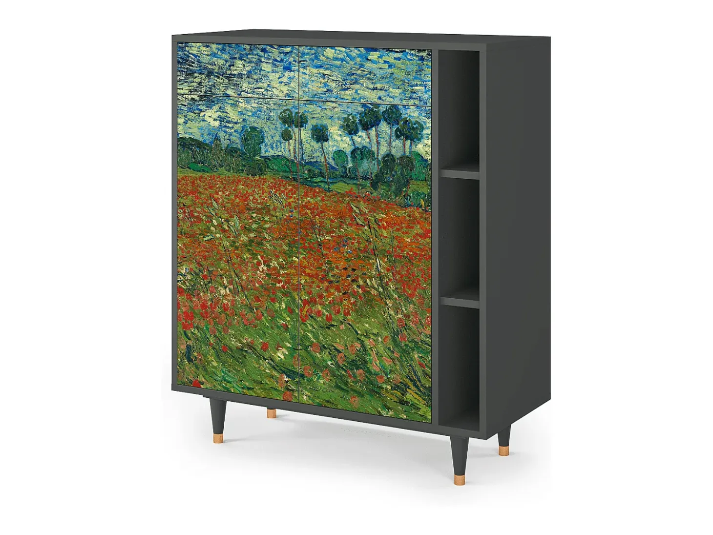 Aparador - 96х110х41 cm - BS6 - Poppy field by van Gogh, Antracita