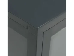 Aparador Antracita 105x35x70 cm Acero y cristal