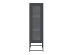 Aparador de acero laminado en frío antracita 36x39x123 cm