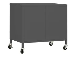 Armario de almacenamiento acero gris antracita 60x35x56 cm ES524115