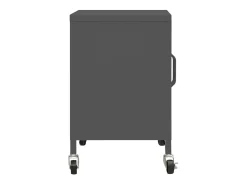 Armario de almacenamiento acero gris antracita 60x35x56 cm ES524115