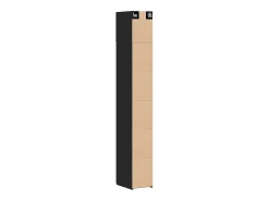 Armario de almacenamiento 3 pcs Roble Negro 30 x 42,5 x 225 cm