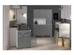 Carro 60 cm - 1 cajón y 1 puerta - 60 x 44 x 81 cm - Color gris brillo