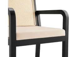 Conjunto de 4 sillas de terciopelo con respaldo de ratán - Negro y natural claro