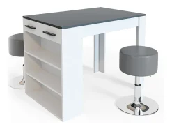 Conjunto de mesa de comedor antracita/blanco 67x100x77.5 repose