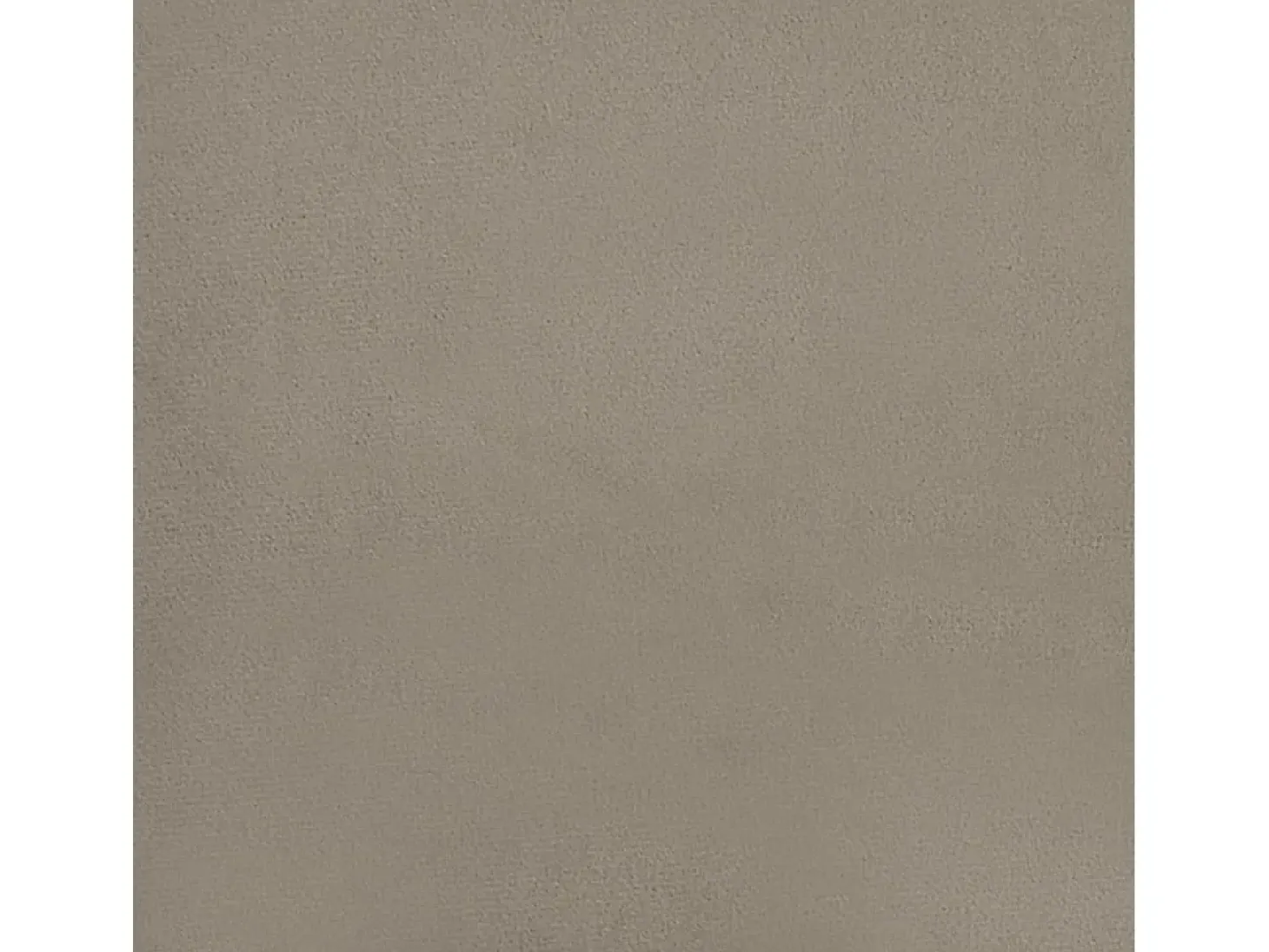 Dalira Sillas de comedor 2 unidades terciopelo gris claro