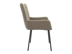 Dalira Sillas de comedor 2 unidades terciopelo gris claro