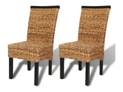 Juego de 2 Sillas de comedor madera maciza de mango y abacá ES242651