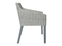 Juego de 2 sillas de comedor con cojines de ratán natural gris