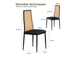 Juego de 2 sillas de comedor de ratán, sillas auxiliares de madera, sillas de comedor, color negro