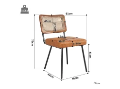 Juego de 2 sillas de piel sintética - Sillón de ratán - Silla retro - Metal + PU - Marrón