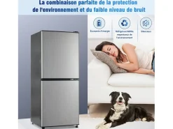 106L Silver+Negro Negra, con partición de vidrio y pies ajustables, 7 temperatura, -25 ~ 10 ℃, clase de eficiencia energética