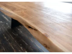 Mesa - marrón Madera - 200 x 100 cm - PALO