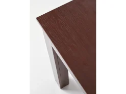 Mesa extensible para 6/10 personas 160/300x90 cm