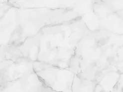Mesa tulipán ovalada de mármol blanco con base brillante 160 cm-Bandeja Mármol negro de Marquinia-Anchura 200 cm-Color de los pies Negro mate
