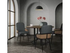 ML-Design 6x Sillas de comedor con funda de tela antracita, asiento con respaldo, reposabrazos con aspecto de ratán sillón ergonómico de cocina