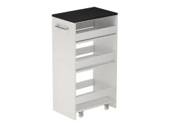 Mueble con ruedas blanco/antracita 30x46x84.8 rivo