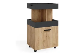 Mueble con ruedas roble dorado 50x41x88.6