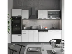 Mueble de cocina blanco brillo/antracita 300x60x81.6 r-line