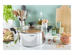 Olla 24 cm + tapa - TEFAL