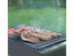 Parrilla barbacoa con doble asa tamaño 60x40cm en acero inoxidable ECD Germany