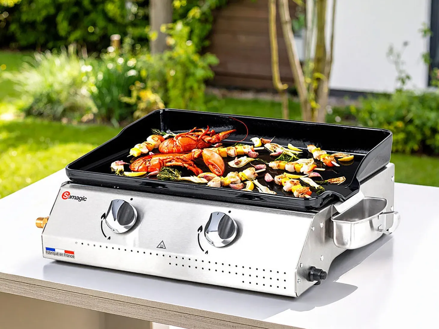 Plancha de asar a gas VERA 200 2 quemadores 5,3kW