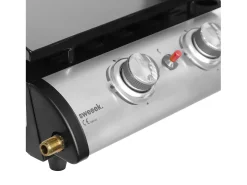 Plancha de gas con 2 quemadores de acero inoxidable, 5kw negro