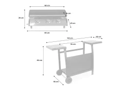 Plancha de gas de 3 quemadores 7,5kw + carro negro