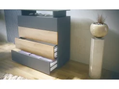 Vladon Cajonera Pavos V2, Cómoda con 4 Cajones y estante de cristal, antracita mate/blanco mate (76 x 81 x 35 cm)